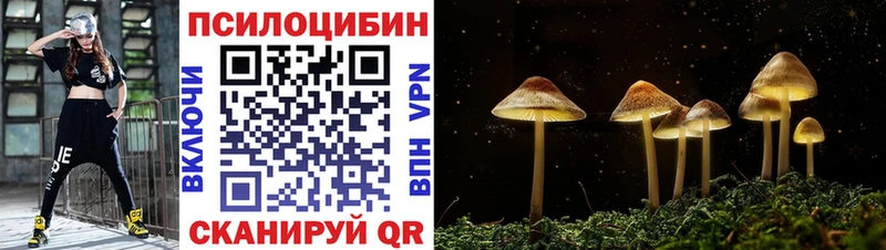 Галлюциногенные грибы Psilocybe  ссылка на мегу ТОР  Баймак 