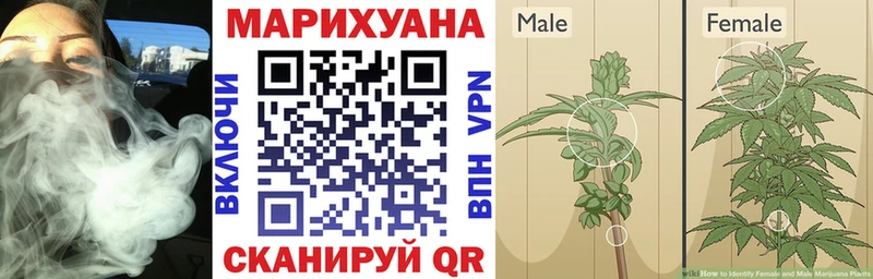 blacksprut сайт  Баймак  Шишки марихуана SATIVA & INDICA 